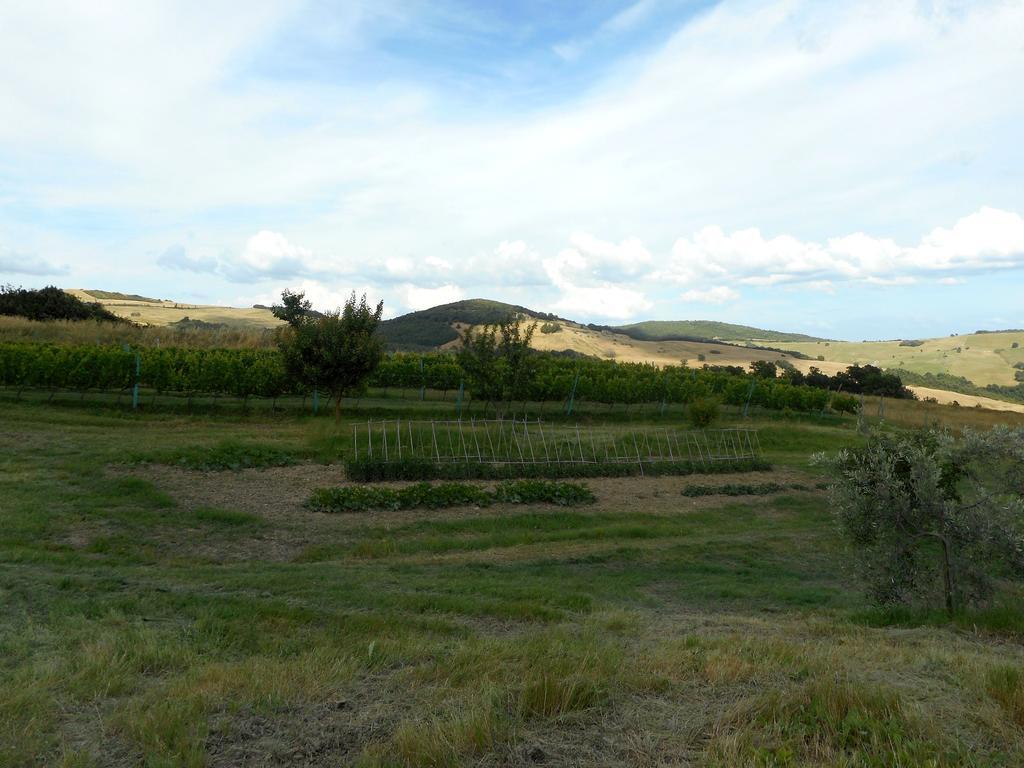 Agriturismo Santa Bruna Volterra Bagian luar foto