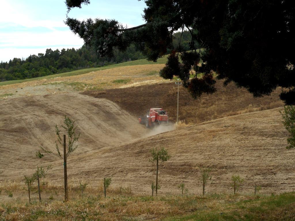 Agriturismo Santa Bruna Volterra Bagian luar foto