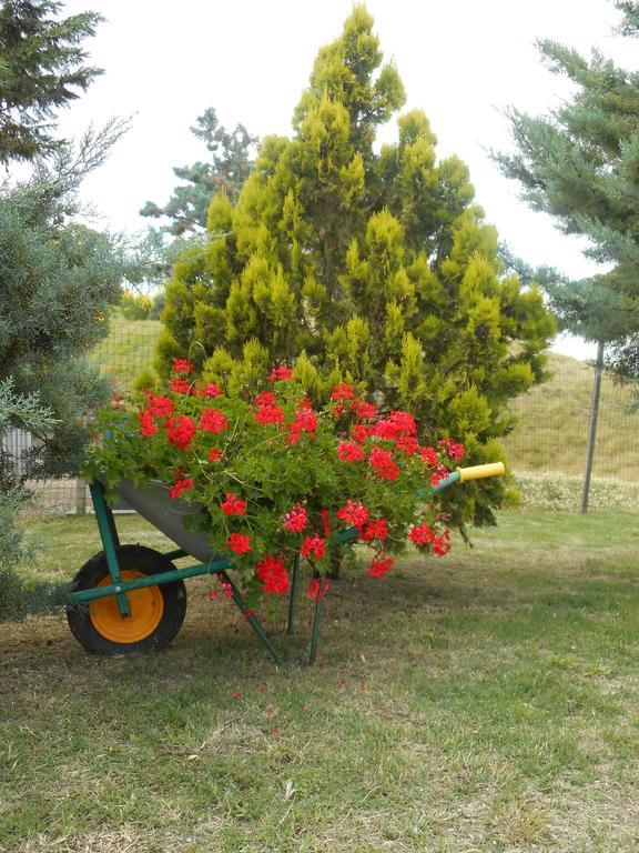 Agriturismo Santa Bruna Volterra Bagian luar foto